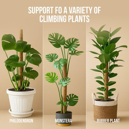 Moss Pole Monstera Plant Support – 2 Pack 28” Bendable Moss Pole Monstera Plant Support, Plant