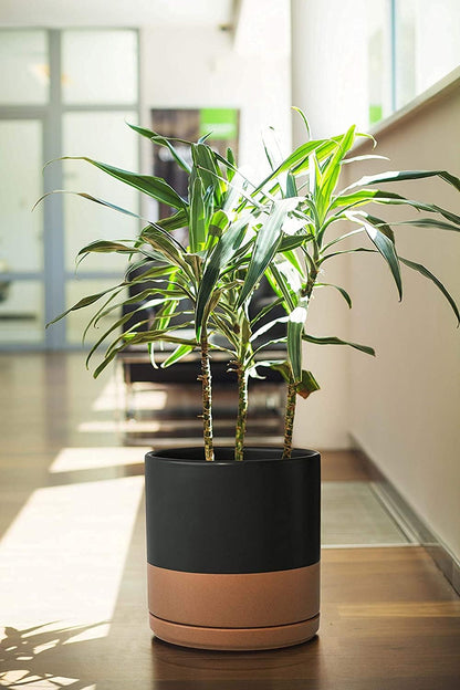 D'vine Dev 8 Inch & 10 Inch Ceramic Planter Pot for Plants with Drainage Hole and Saucer, Large