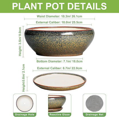 SQOWL Bonsai Planter - 10 Inch Ceramic Succulent Pots, Shallow Plant Pot Indoor with Drainage Hole