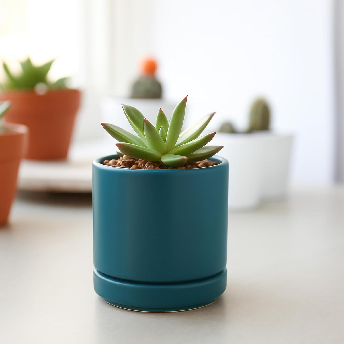 D'vine Dev 3.5 Inch Ceramic Planter Pot with Drainage Hole and Saucer, Indoor Cylinder Round