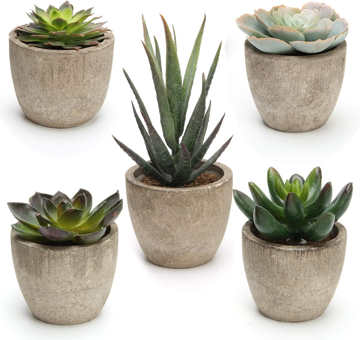 Coitak Artificial Succulent Plants Potted, Assorted Decorative Faux Succulent Potted Fake Cactus