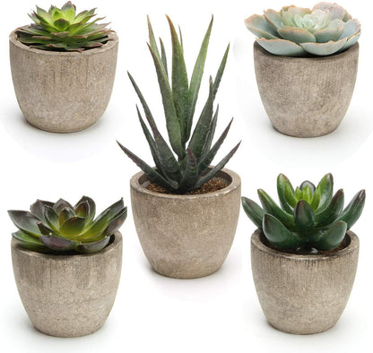 Coitak Artificial Succulent Plants Potted, Assorted Decorative Faux Succulent Potted Fake Cactus