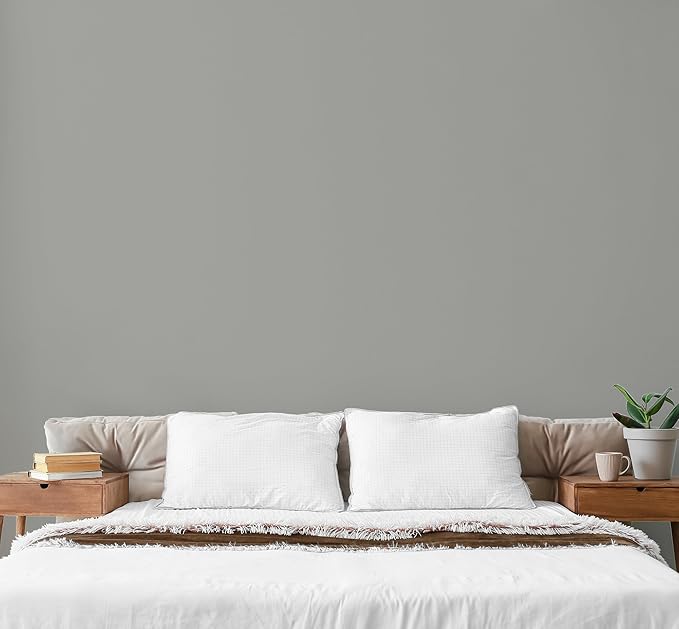 EVOLVE Paint & Primer: Environment-friendly, Low Sheen with One-coat Coverage for Interior &