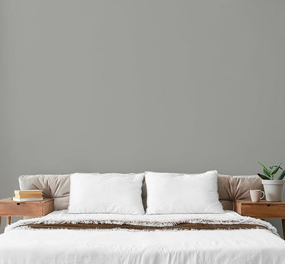EVOLVE Paint & Primer: Environment-friendly, Low Sheen with One-coat Coverage for Interior &