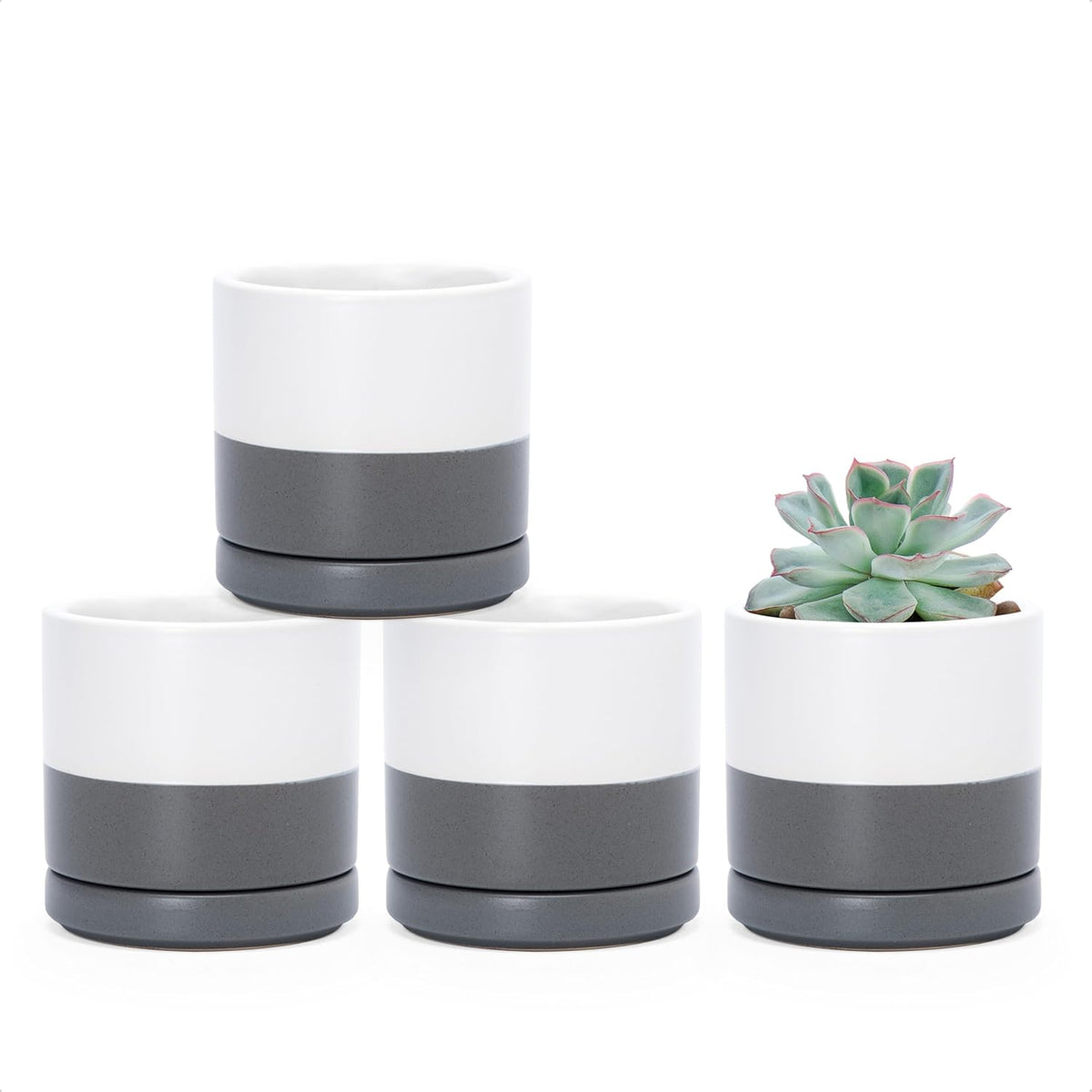 D'vine Dev Set of 4 Small Ceramic Plant Pots, 3.5 Inch Succulent Planter Pot for Plants with