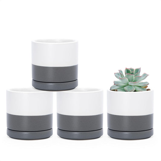 D'vine Dev Set of 4 Small Ceramic Plant Pots, 3.5 Inch Succulent Planter Pot for Plants with