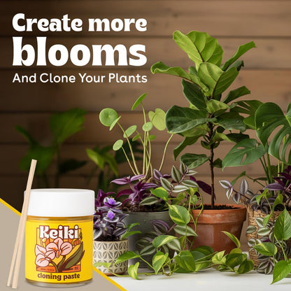 Keiki Paste for Plants to Clone & Create New Growth - 2X The Paste - Rapid Start Cloning Gel for
