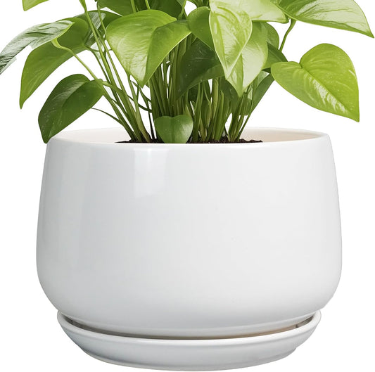 G EPGardening Ceramic Planter 9 Inch - Plant Pots with Drainage and Ceramic Saucer, Flower Pots for