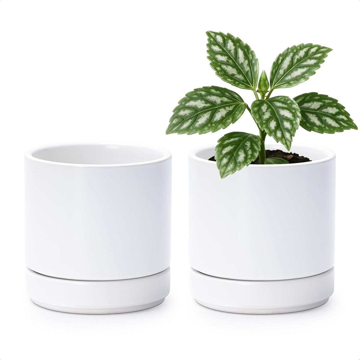 D'vine Dev Set of 2 Plants Pot, 4.7 Inch Ceramic Planter Pot for Plants with Drainage Hole and