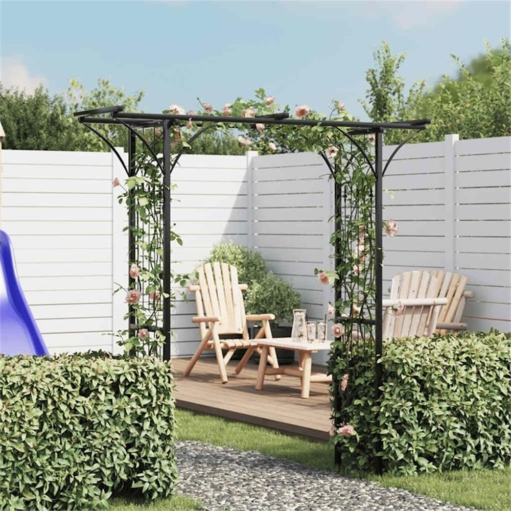 Pemberly Row 78.7 X 20.5 X 80.3 Durable Iron Garden Arch in Black