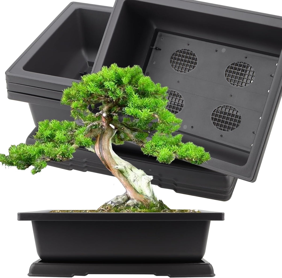 KINJOEK 3 PCS 14 Inch Plastic Bonsai Pots, Large Bonsai Training Pot with Drainage Trays