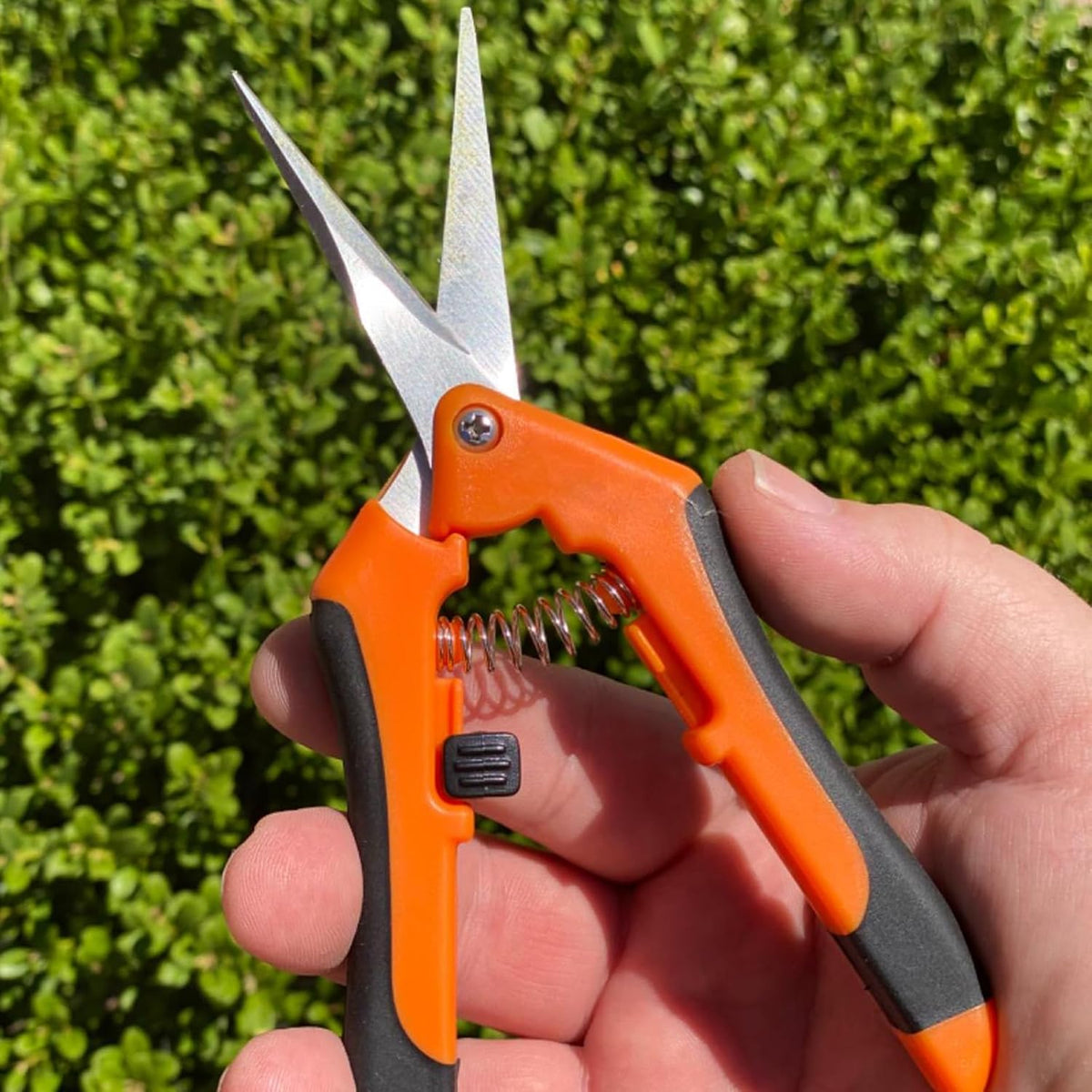 15 PCS 6.5 inch Garden Pruning Shears, Gardening Hand Pruners with Straight Stainless Steel