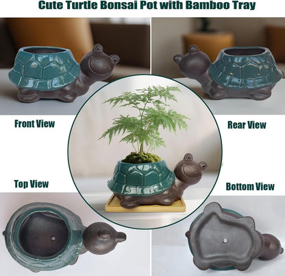 MUZHI Ceramic Bonsai Pot with Bamboo Tray SmilingTurtle Shape, Cute Animal Succulent Cactus Planter