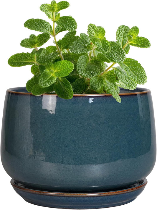 G EPGardening Ceramic Pots for Plants - 4 inch Plant Pots for Indoor Outdoor, Small Planter with