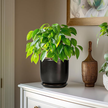 Ceramic Planter 7 Inch - Cylinder Round Modern Indoor Plant Pot for Plants with Drainage Hole and