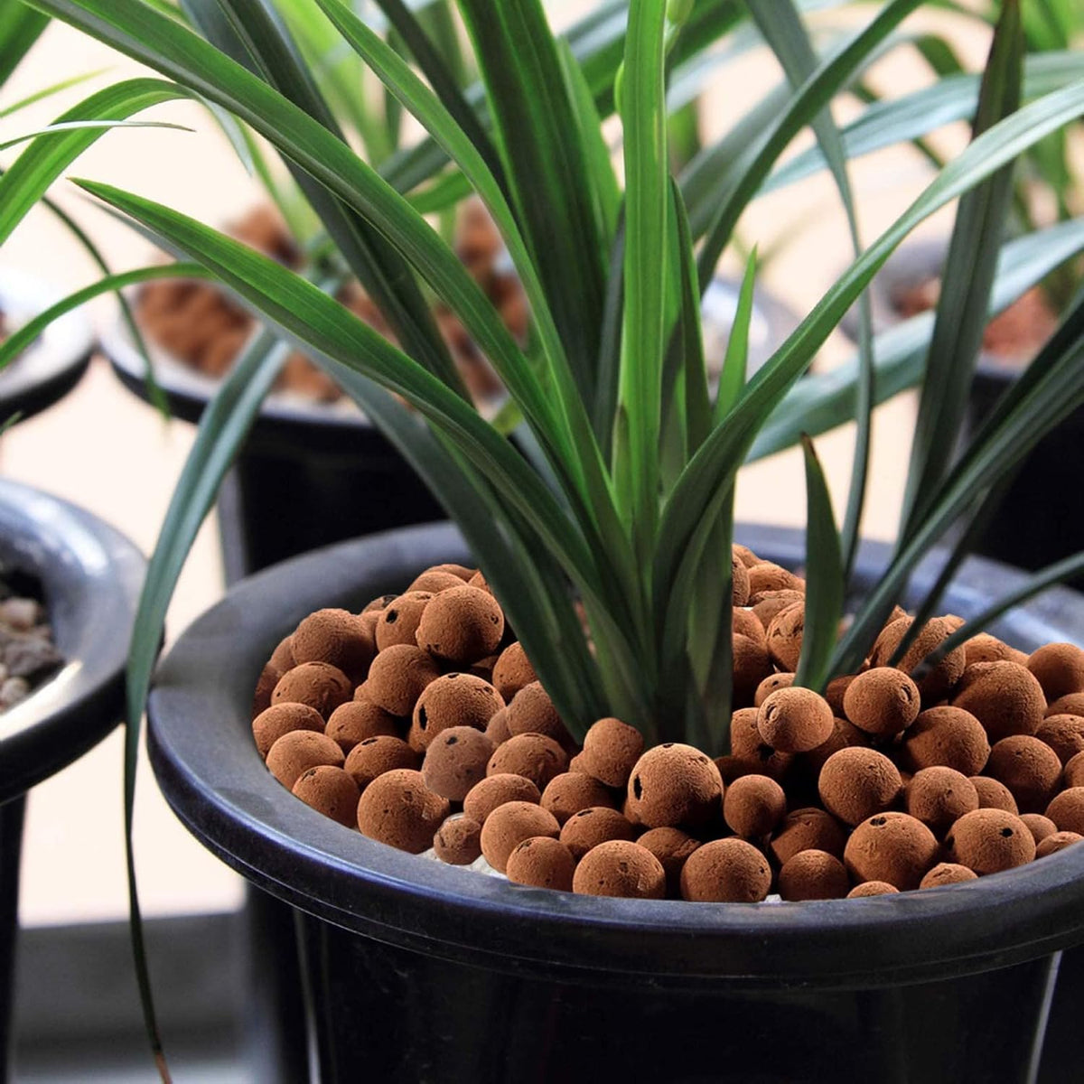 Halatool 4LB Leca Clay Pebbles for Plants 4mm-16mm Lightweight Clay Balls 100% Natural Hydro Balls