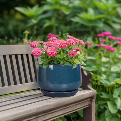 G EPGardening Ceramic Pot for Plants - Modern 7 Inch Round Planter with Drainage and Tray Indoor