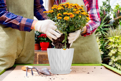 7 Inch Plant Pots 5 Pack, Flower Planters with Drainage Holes and Trays,Plastic Pots for Indoor