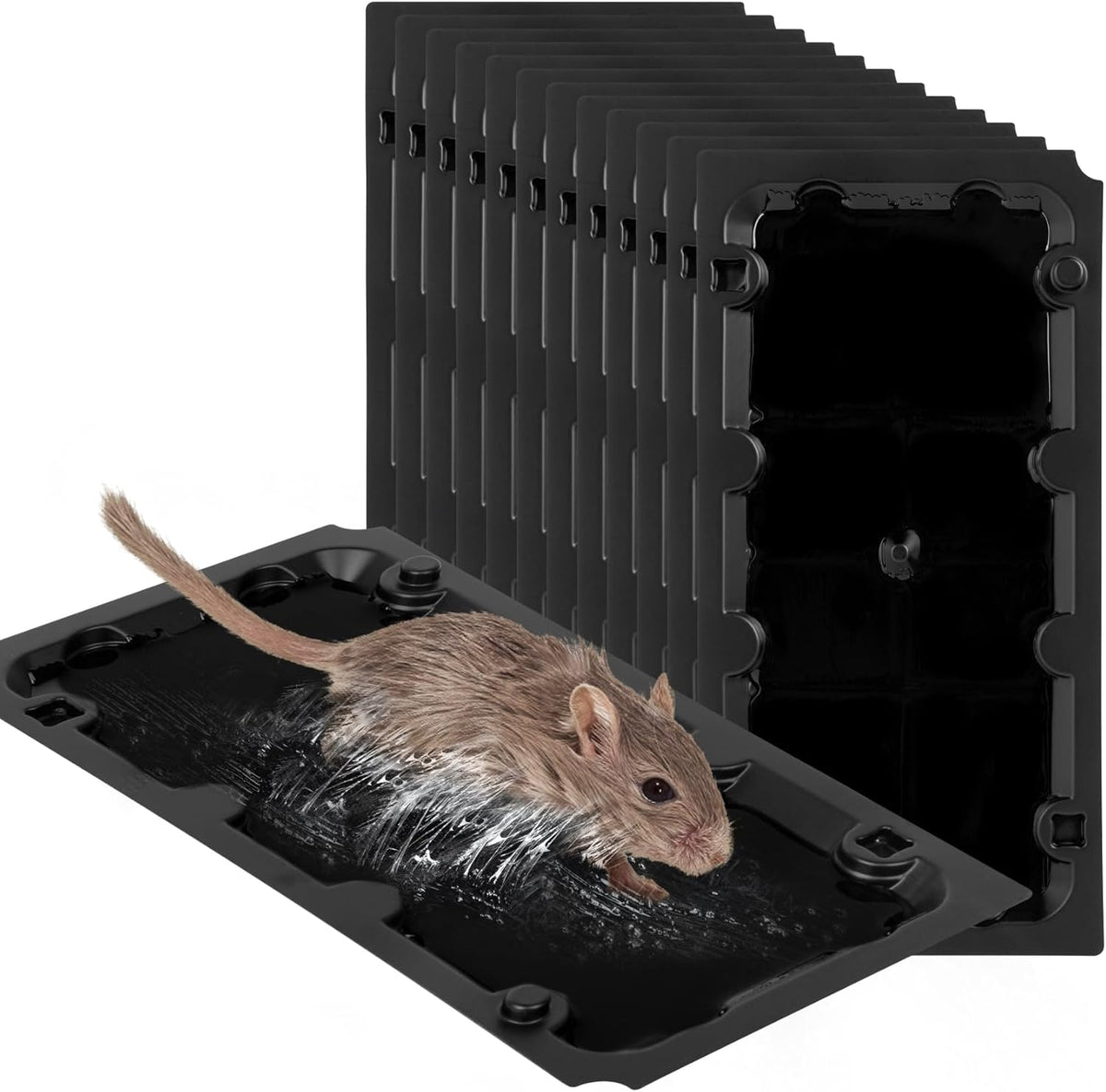 12 Pack Sticky Mouse Trap Rat Traps Indoor, Peanut Taste Pheromone Mouse Traps Indoor for Home
