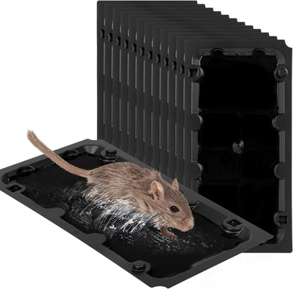 12 Pack Sticky Mouse Trap Rat Traps Indoor, Peanut Taste Pheromone Mouse Traps Indoor for Home