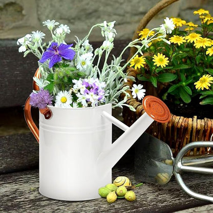 Metal Watering Can with Removable Spout, Galvanized Watering Can, Perfect for Indoor Use and for