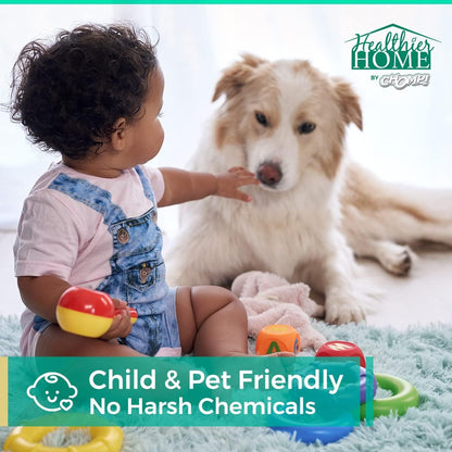 CHOMP! Travel Size Bed Bug & Insect Repellent, Natural, TSA Approved Indoor Pest Control Spray for