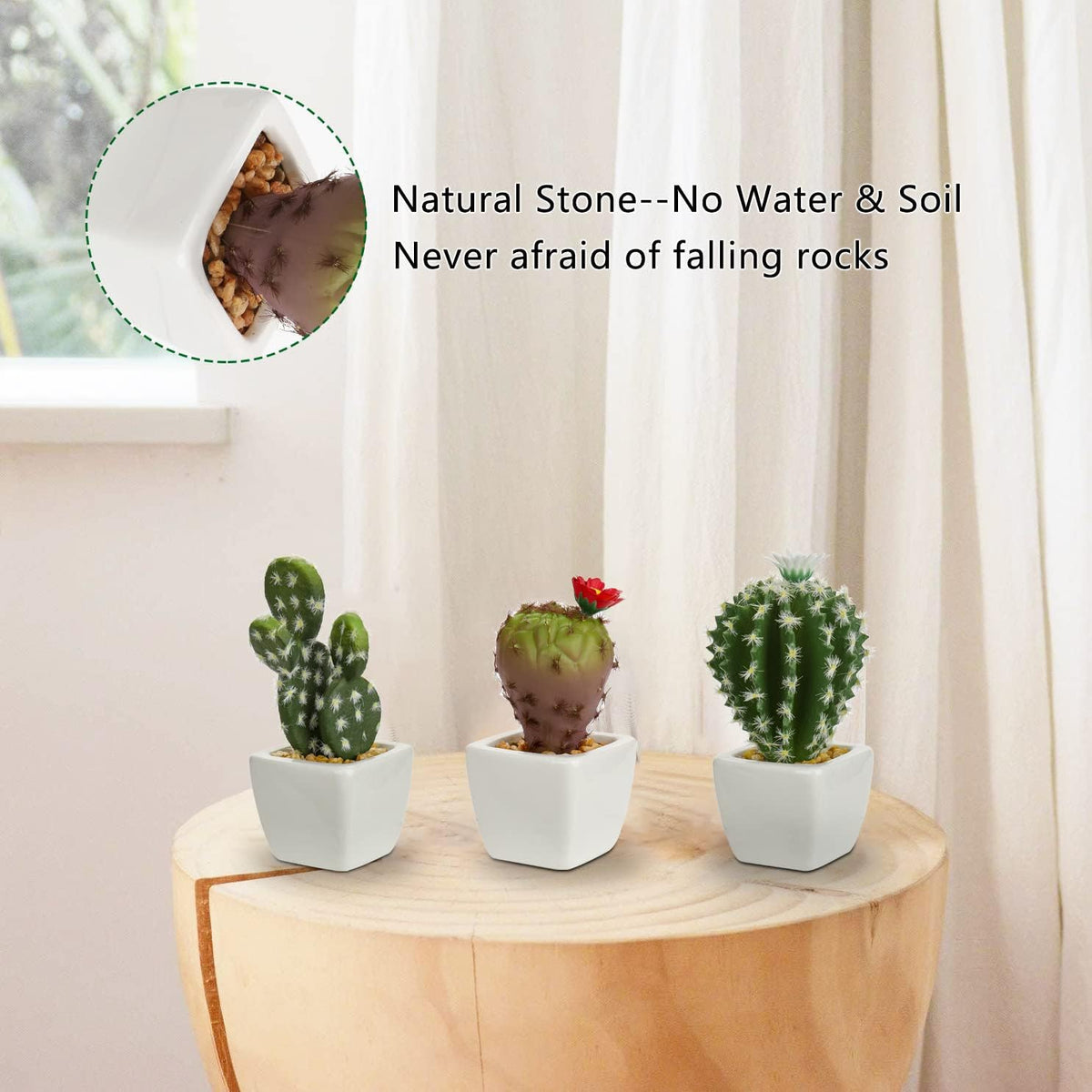 Mini Artificial Cactus Plants in Ceramic Pots 6 Pcs Potted Faux Succulents in Pots Fake Potted