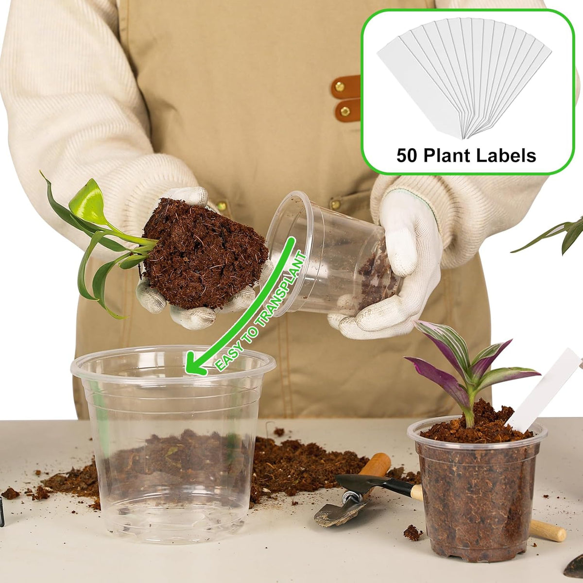 60 Pack 3.5/4/5/6/7 Inch Clear Nursery Pots with Drainage Hole,Variety Sizes Seed Starting Pots