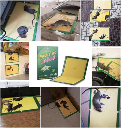 Kensizer 12-Pack Mouse Rat Glue Trap, Super Sticky Adhesive Glue Board Traps for Mice Rats Catches