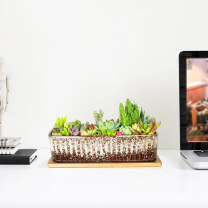 Succulent Pots - 12 Inch Large Succulent Planters with Drainage Tray, Window Sill Planter, Long