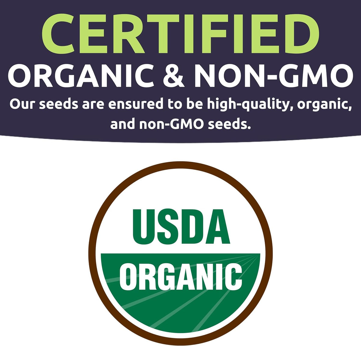 Organic Summer Seeds Variety Pack - 12 Individual Packs - 2025 Season - Basil, Tomatoes, Cucumber