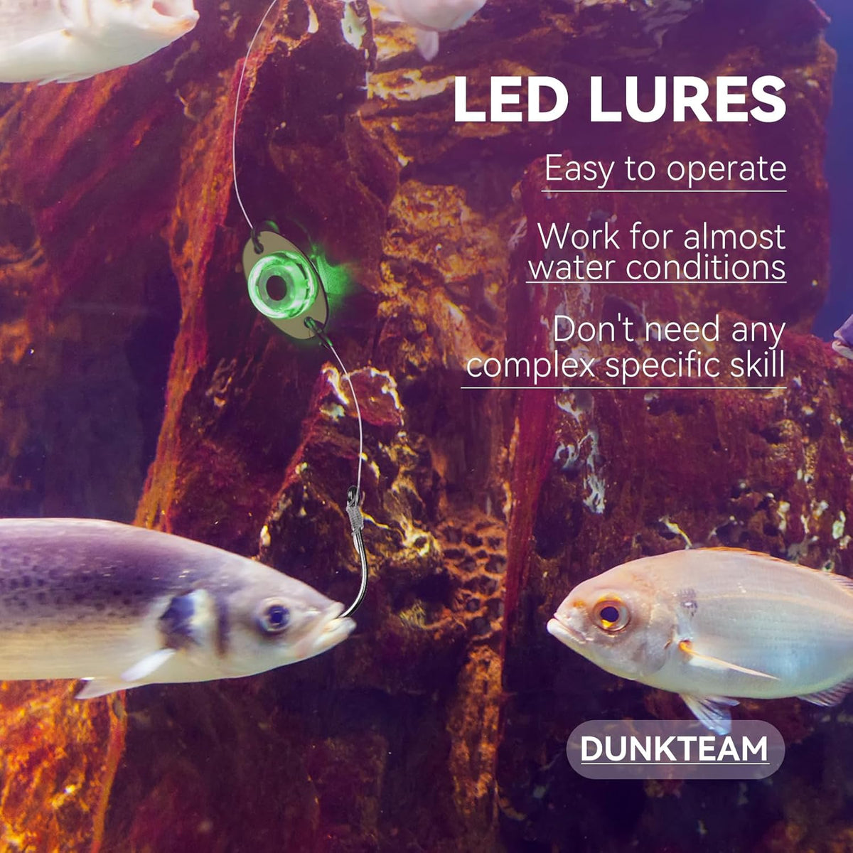 LED Underwater Fishing Lures，LED Lighted Bait Flasher，Deep Drop Fishing Lures，Fish Eye Attractive