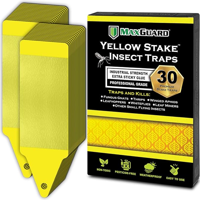 MAXGUARD (30 Pack) Yellow Stake Sticky Insect/Bug Traps - Catch and Kill Fungus Gnats, Whiteflies