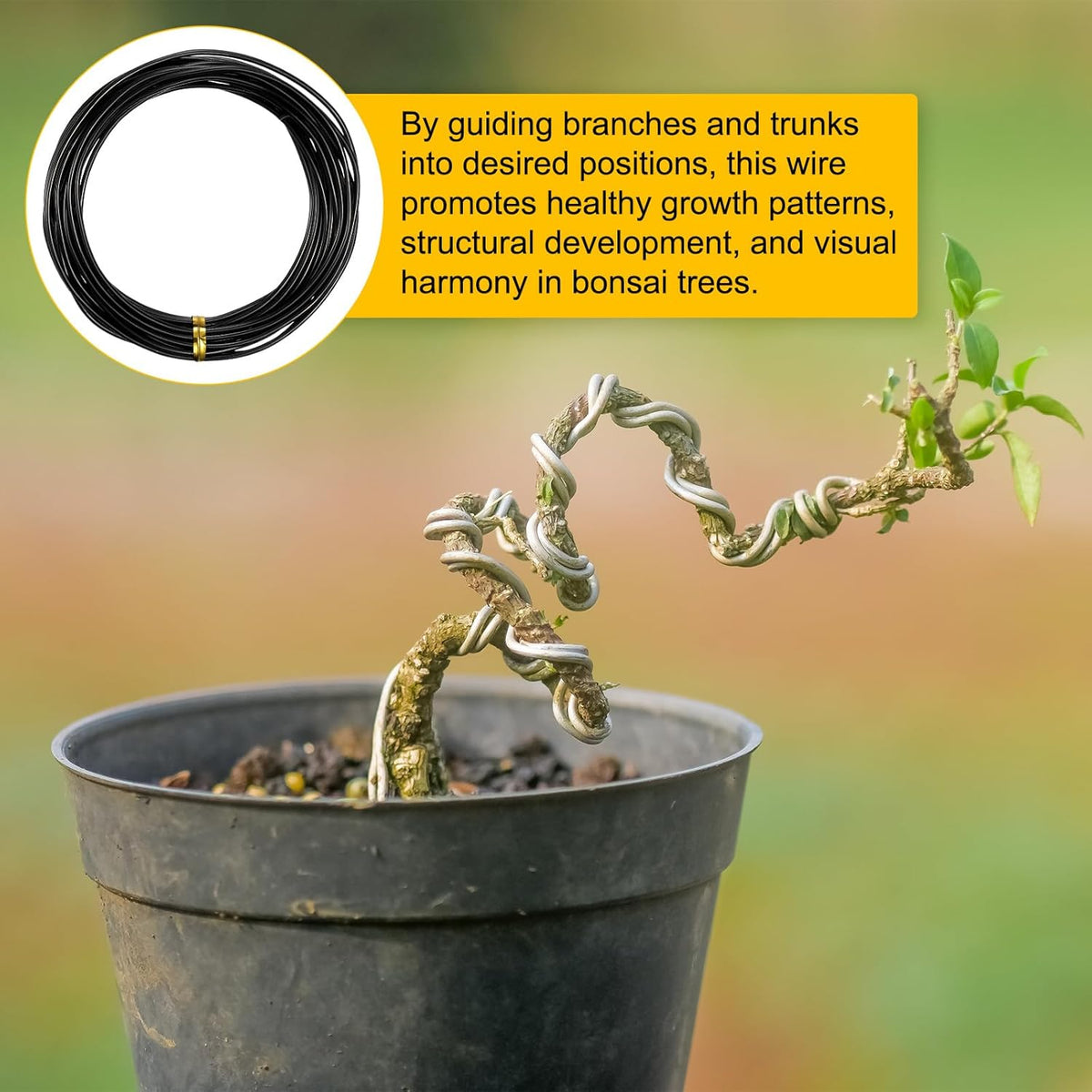 2mm Bonsai Training Wire, 16.4 Feet Total Anodized Aluminum Bonsai Wires for Bonsai Tree