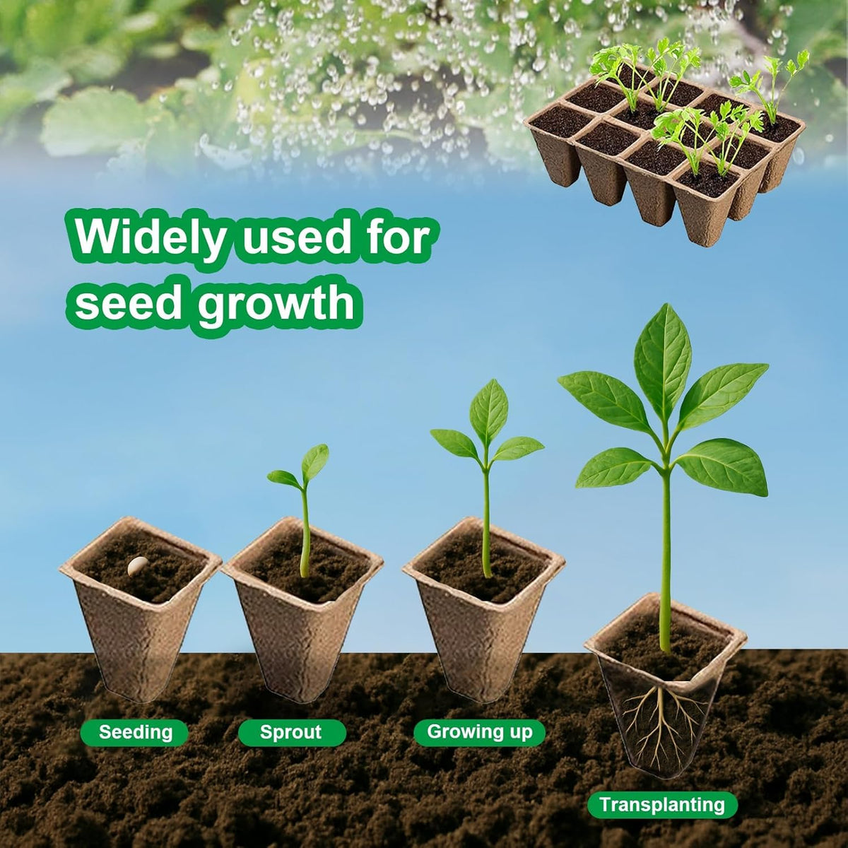 10 Pack Seedling Starter Trays - 120 Cells,Biodegradable Seed Starter Trays for