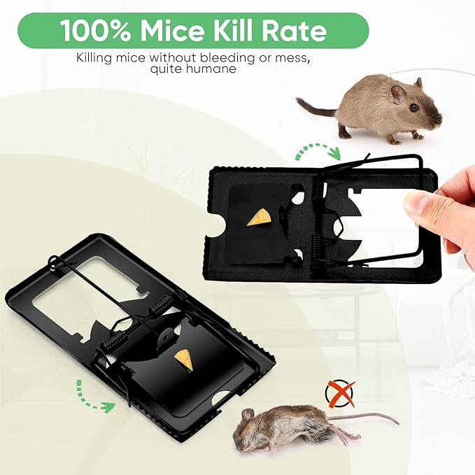 Qualirey 24 Pcs Classic Metal Rat Traps Reusable Mouse Trap Humane Effective Snap Rat Killer That