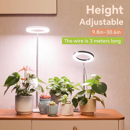 Desktop Grow Light, Height Adjustable Grow Lights for Indoor Plants Full Spectrum, 3 Lighting Mode