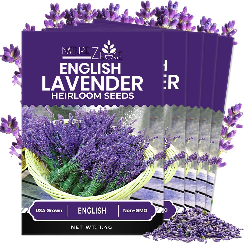 NatureZ Edge 7500 English Lavender Seeds for Planting Outdoors or Indoors, 90% Germination, to Give