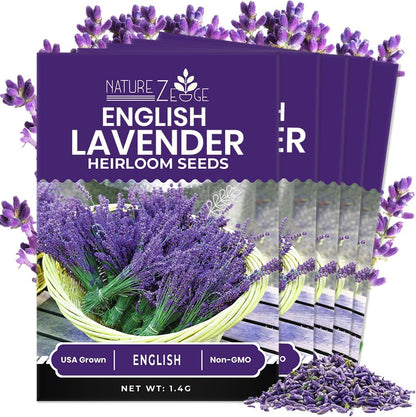 NatureZ Edge 7500 English Lavender Seeds for Planting Outdoors or Indoors, 90% Germination, to Give