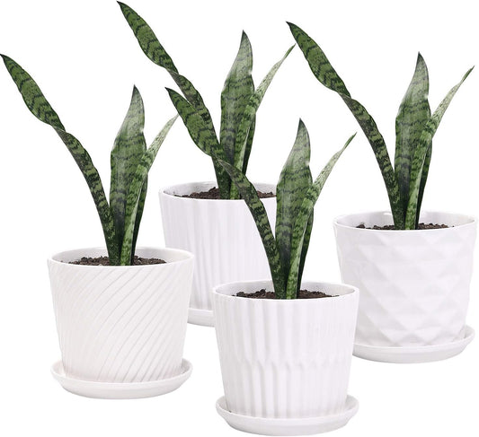 Plant Pots - 5.5 Inch Cylinder Ceramic Planters with Connected Saucer, Pots for Succuelnt and