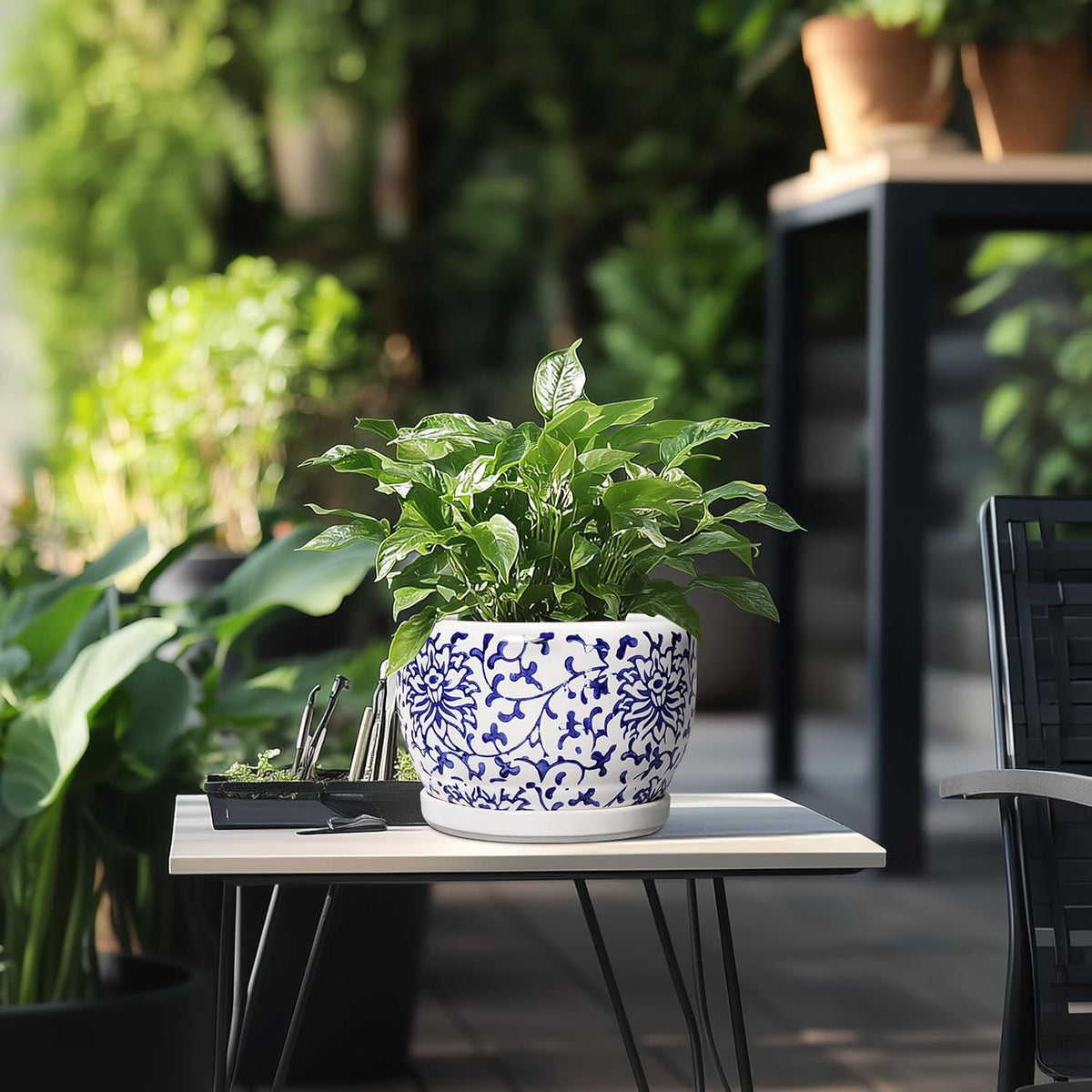 SQOWL Ceramic Pots for Plants - 8 inch Ceramic Planter with Drainage Hole and Saucer, Round Flower