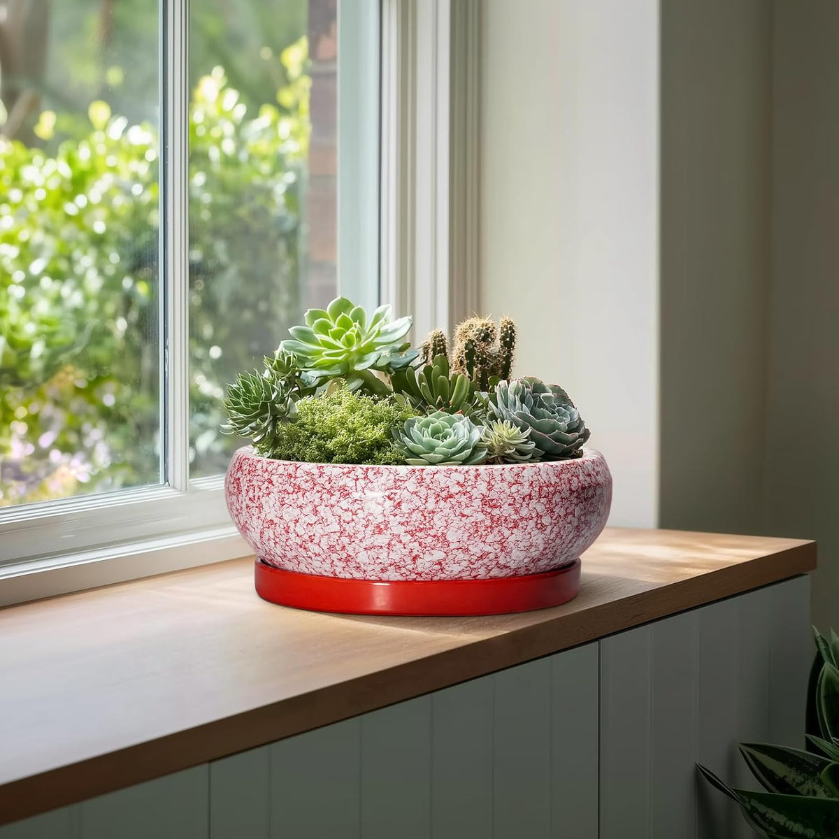 Bonsai Tree Pots 13 Inch - Ceramic Bonsai Pots with Drainage Hole and Tray, Large Succulent