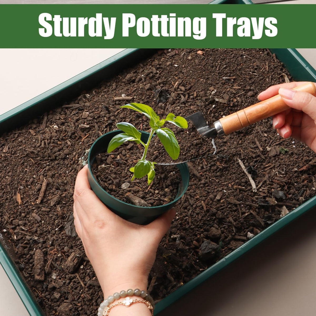5 Pack Seed Starter Trays (17"x11"x2"), Plastic Flat Nursery Pots Trays, Durable Carrying Seedling