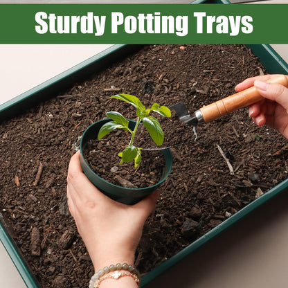 5 Pack Seed Starter Trays (17"x11"x2"), Plastic Flat Nursery Pots Trays, Durable Carrying Seedling