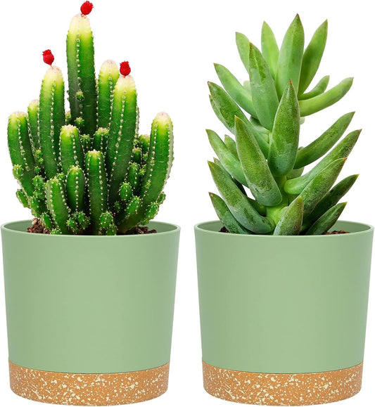 QCQHDU 5 inch Plant Pot, 2 Pack Planters for Indoor Plants with Drainage Holes & Saucer, Outdoor