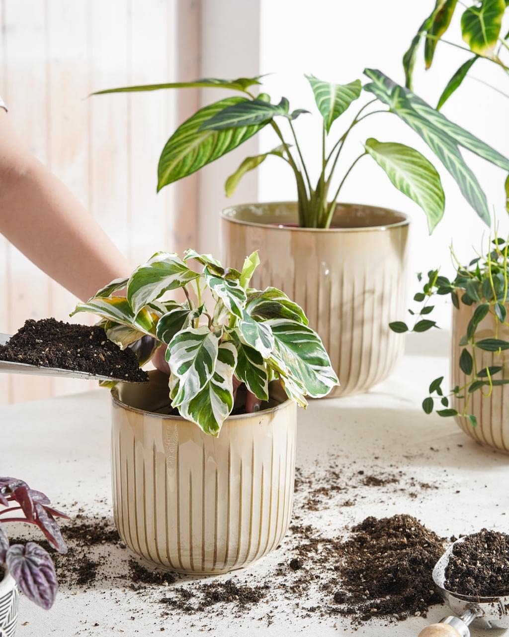 LE TAUCI Fluted Ceramic Planters Set of 3 – 8.3/7 / 5.7 in Cloud Cream Reactive Cylinder Indoor