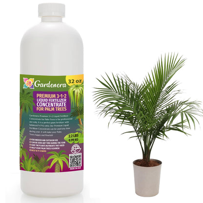 Premium Liquid Palm Tree Plant Fertilizer - 3-1-2 Concentrate for Indoor Plants and Flowers by
