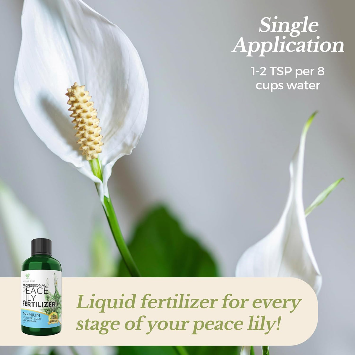 Professional Liquid Peace Lily Plant Fertilizer | 3-1-2 Concentrate for Plants and Flowers |