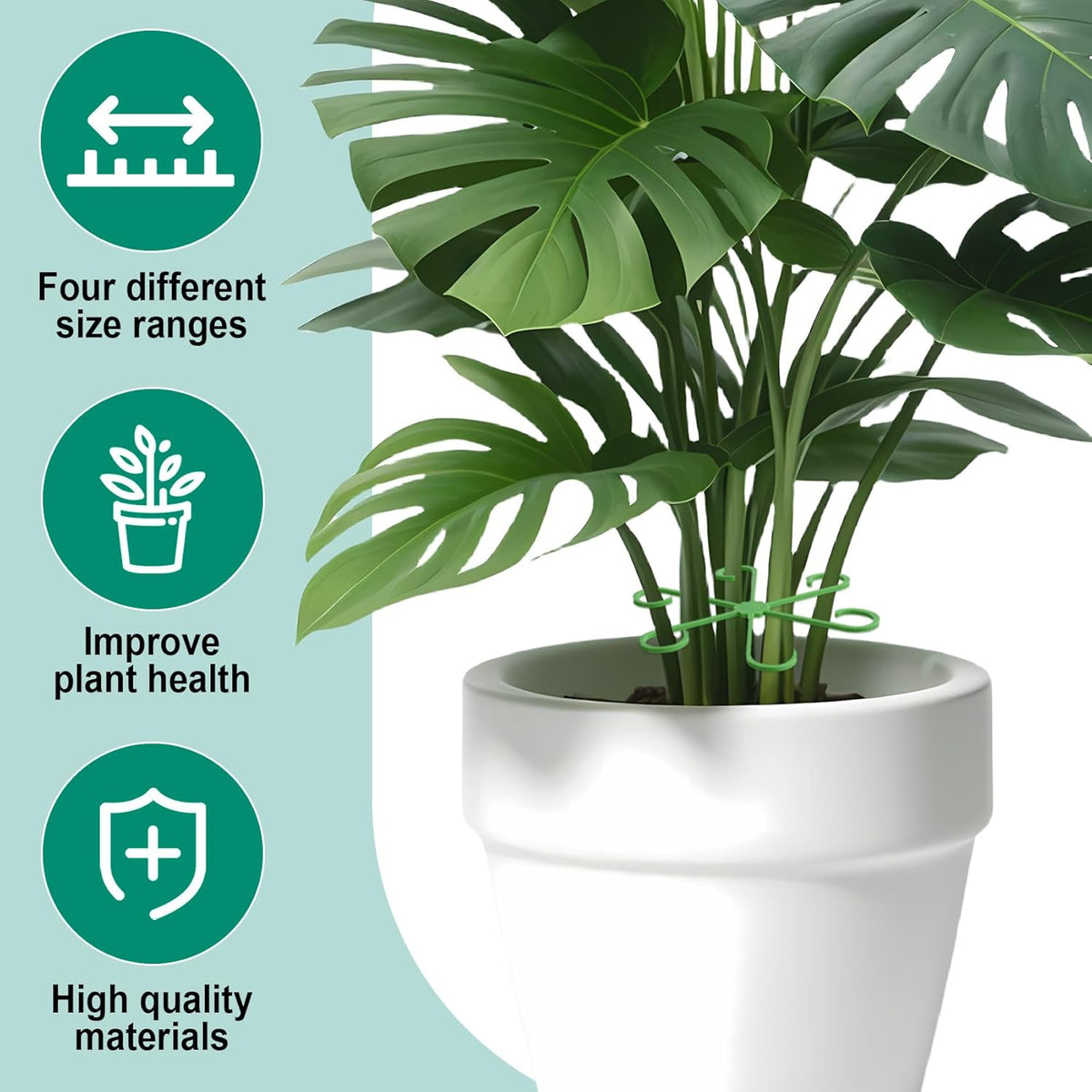 8PCS Plant Stem Support, 4 Sizes Climbing Houseplant Stem Holders, Plastic Reusable Flower Trellis
