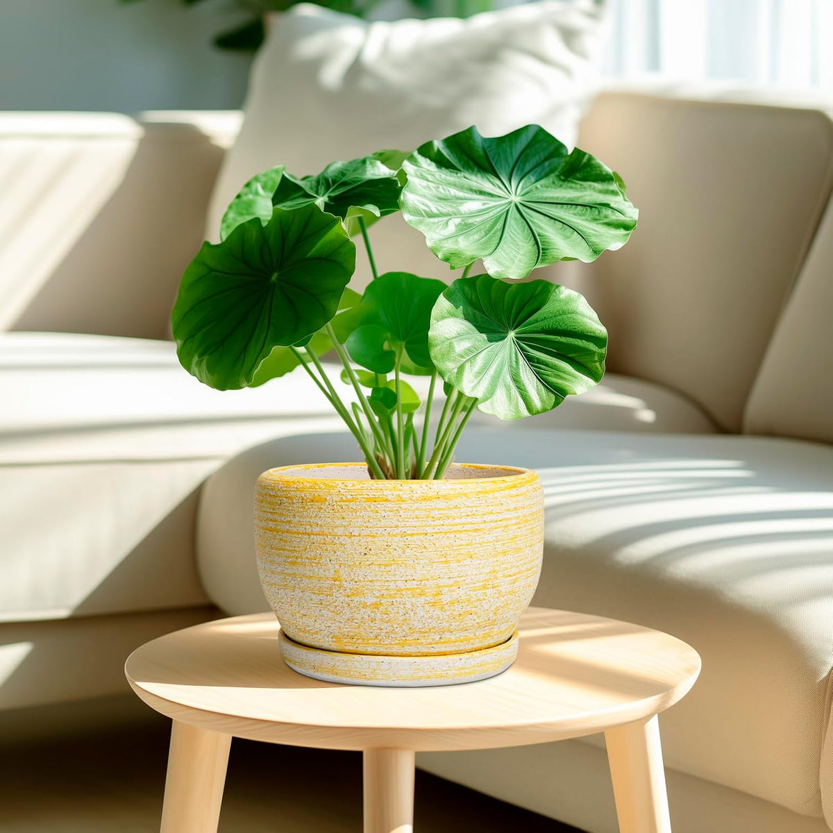 SQOWL Ceramic Flower Pots - 8 inch Plant Pot Indoor with Drainage Hole and Saucer, Modern Ceramic